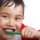 Illustration for article titled Everything You Need to Keep Your Teeth from Rotting Out